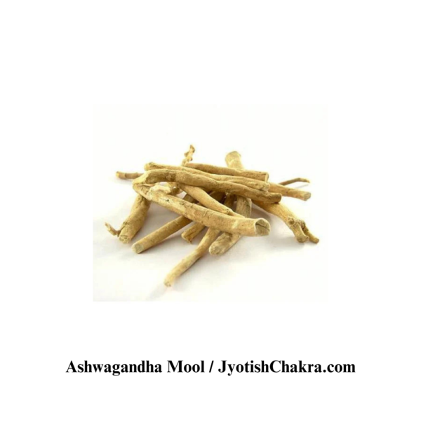 Ashwagandha Root-अश्वगंधा जड़