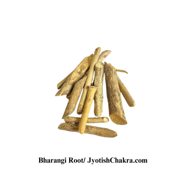 Bharangi Root-भारंगी जड़