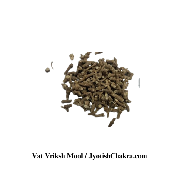 Vat Tree Root-वट वृक्ष जड़