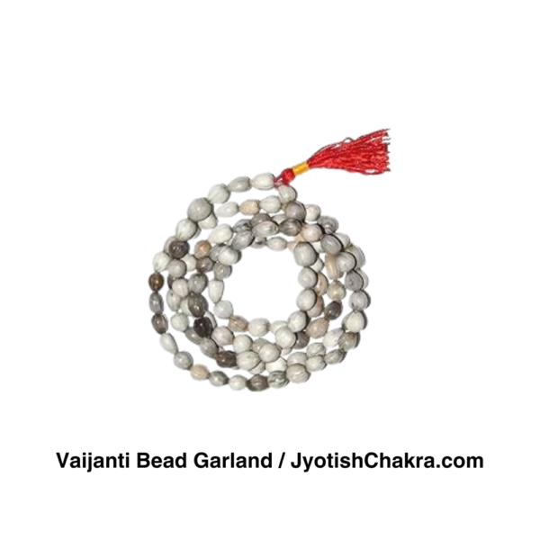 वैजन्ती माला-Vaijanti Bead Garland